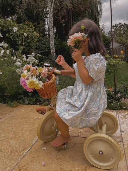 Athena Dress - Grecian Toile