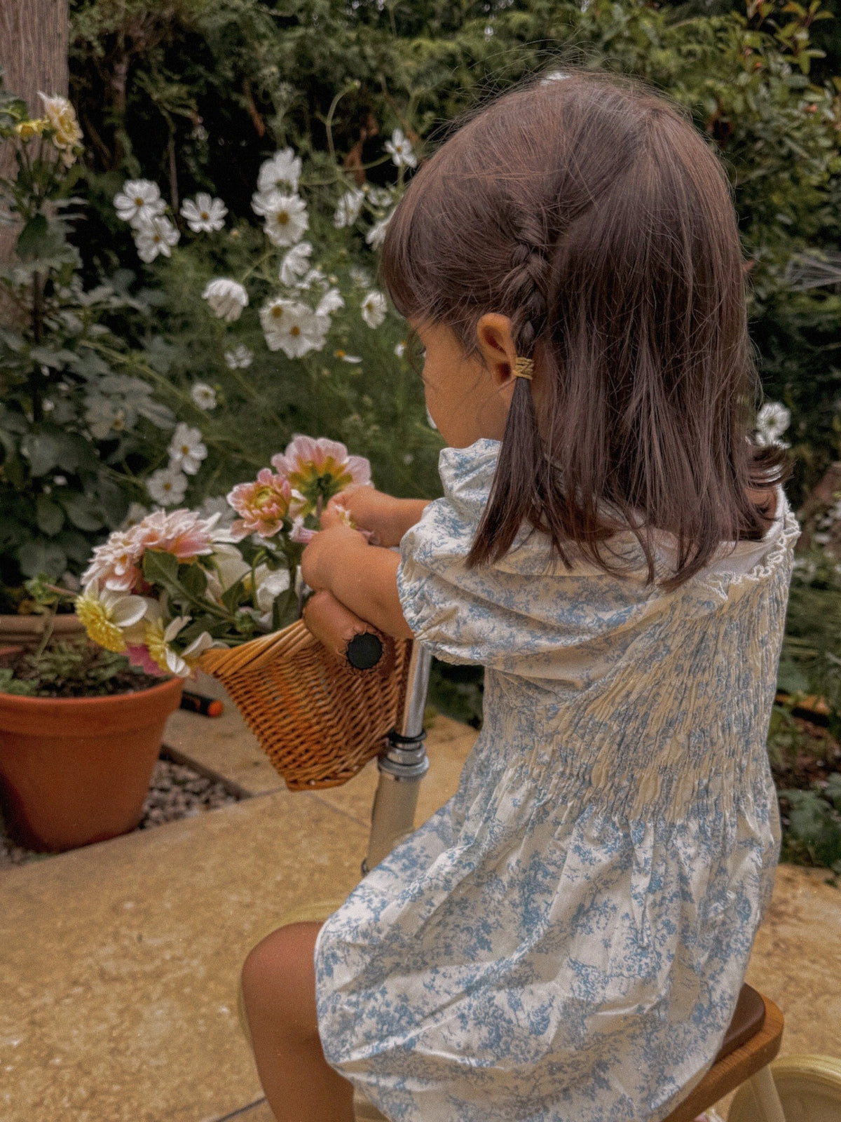 Athena Dress - Grecian Toile